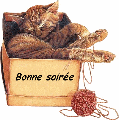 Résultat de recherche d'images pour "gif bonne soirée"